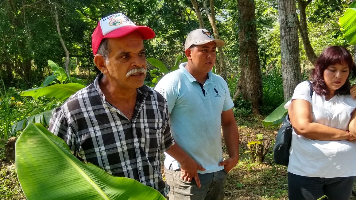 Gobernanza local y manejo sostenible de la cuenca alta del Río Pijijiapan, Chiapas.