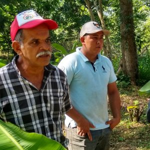 Gobernanza local y manejo sostenible de la cuenca alta del Río Pijijiapan, Chiapas.