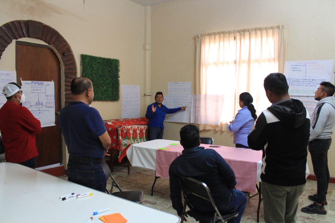 Desarrollo de capacidades de productores de Café, hombres y mujeres, como líderes locales en la región Frailesca de Chiapas, México.