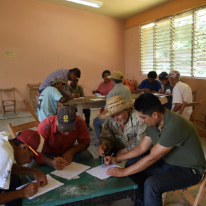 Elaboración de Planes Vivos con tres comunidades del municipio de Cintalapa