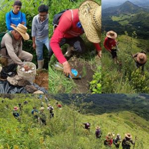 “Restauración forestal de áreas degradadas en el ejido Vicente Guerrero, Villa Corzo, Chiapas”.